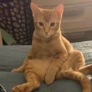 Meet your Posher, Valeria